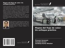 Buchcover von Mapeo del flujo de valor: Un enfoque práctico