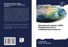 Китайский проект БРИ: Региональные и глобальные аспекты的封面