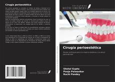 Cirugía perioestética kitap kapağı
