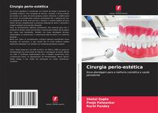 Bookcover of Cirurgia perio-estética