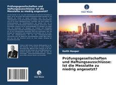 Bookcover of Prüfungsgesellschaften und Haftungsausschlüsse: Ist die Messlatte zu niedrig angesetzt?