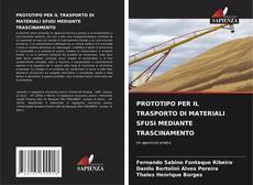 Buchcover von PROTOTIPO PER IL TRASPORTO DI MATERIALI SFUSI MEDIANTE TRASCINAMENTO