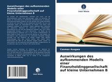 Auswirkungen des aufkommenden Modells einer Finanzholdinggesellschaft auf kleine Unternehmen B kitap kapağı