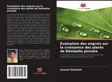 Couverture de Évaluation des engrais sur la croissance des plants de Deinbolia pinnata