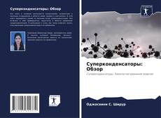 Bookcover of Суперконденсаторы: Обзор
