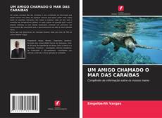 Buchcover von UM AMIGO CHAMADO O MAR DAS CARAÍBAS