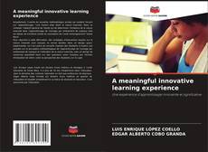 Bookcover of A meaningful innovative learning experience
