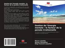 Bookcover of Gestion de l'énergie mentale : le facteur de la pensée irrationnelle