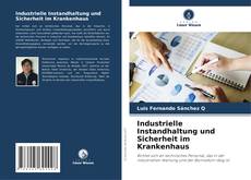 Bookcover of Industrielle Instandhaltung und Sicherheit im Krankenhaus