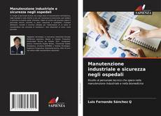 Bookcover of Manutenzione industriale e sicurezza negli ospedali