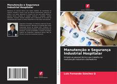 Copertina di Manutenção e Segurança Industrial Hospitalar