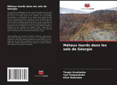 Bookcover of Métaux lourds dans les sols de Géorgie