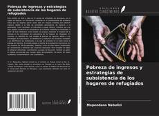 Buchcover von Pobreza de ingresos y estrategias de subsistencia de los hogares de refugiados