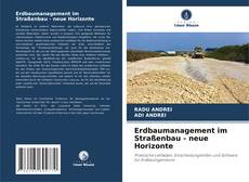 Portada del libro de Erdbaumanagement im Straßenbau - neue Horizonte