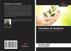 Capa do livro de Valuation of margines 