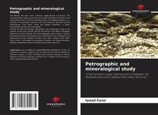 Copertina di Petrographic and mineralogical study