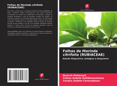 Folhas de Morinda citrifolia (RUBIACEAE)的封面