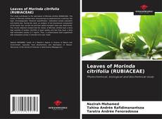 Couverture de Leaves of Morinda citrifolia (RUBIACEAE)