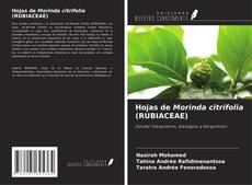 Buchcover von Hojas de Morinda citrifolia (RUBIACEAE)