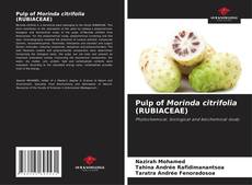 Buchcover von Pulp of Morinda citrifolia (RUBIACEAE)