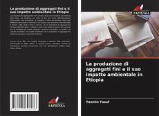 Capa do livro de La produzione di aggregati fini e il suo impatto ambientale in Etiopia 