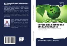 Bookcover of УСТОЙЧИВАЯ ЗВУКОВАЯ СРЕДА В КИНШАСЕ