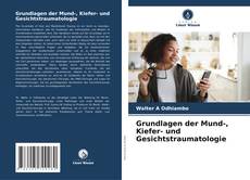 Copertina di Grundlagen der Mund-, Kiefer- und Gesichtstraumatologie