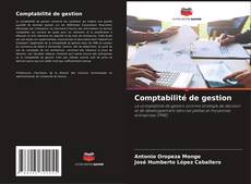 Buchcover von Comptabilité de gestion