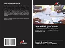 Bookcover of Contabilità gestionale