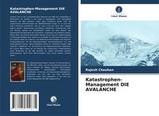 Buchcover von Katastrophen-Management DIE AVALANCHE