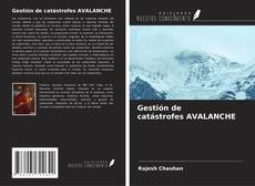 Buchcover von Gestión de catástrofes AVALANCHE