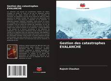 Gestion des catastrophes EVALANCHE的封面