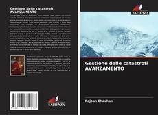 Copertina di Gestione delle catastrofi AVANZAMENTO