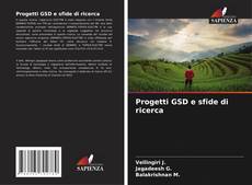 Progetti GSD e sfide di ricerca kitap kapağı