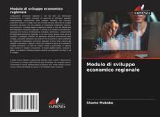 Modulo di sviluppo economico regionale kitap kapağı