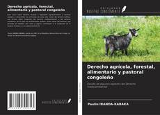 Buchcover von Derecho agrícola, forestal, alimentario y pastoral congoleño