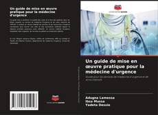 Buchcover von Un guide de mise en œuvre pratique pour la médecine d'urgence