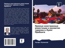 Portada del libro de Прямые иностранные инвестиции и развитие туризма в Луанг Прабанге