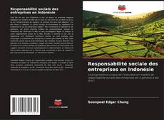 Copertina di Responsabilité sociale des entreprises en Indonésie