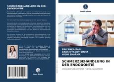 SCHMERZBEHANDLUNG IN DER ENDODONTIE kitap kapağı