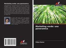 Marketing verde: una panoramica kitap kapağı
