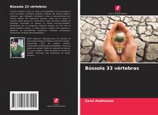 Bookcover of Bússola 33 vértebras