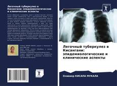 Copertina di Легочный туберкулез в Кисангани: эпидемиологические и клинические аспекты
