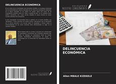 Buchcover von DELINCUENCIA ECONÓMICA