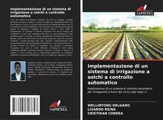 Capa do livro de Implementazione di un sistema di irrigazione a solchi a controllo automatico 