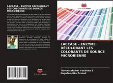 LACCASE - ENZYME DÉCOLORANT LES COLORANTS DE SOURCE MICROBIENNE kitap kapağı