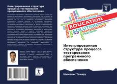 Portada del libro de Интегрированная структура процесса тестирования программного обеспечения