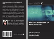 Bookcover of Métodos numéricos en ingeniería civil