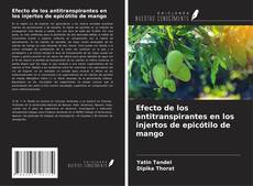 Buchcover von Efecto de los antitranspirantes en los injertos de epicótilo de mango
