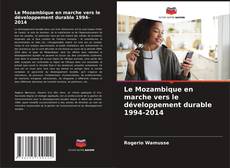 Le Mozambique en marche vers le développement durable 1994-2014的封面
